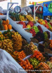 Fruit stand in market store bY7p95