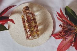 Bottle with fresh plant in liquid between foliage