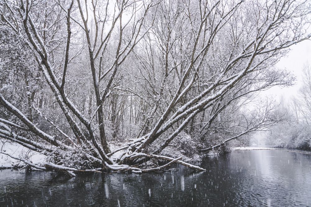 River streaming between snow forest