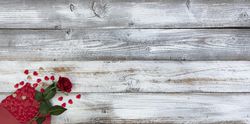 Happy Valentine’s day with lovely hearts and rose