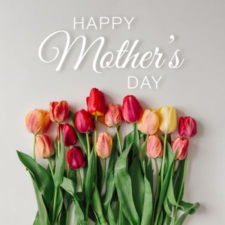 Row of tulips on light background with “Happy Mother’s Day” text