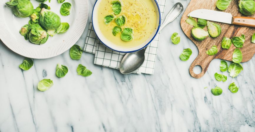 Brussels sprout soup, garnished with fresh sprouts, copy space