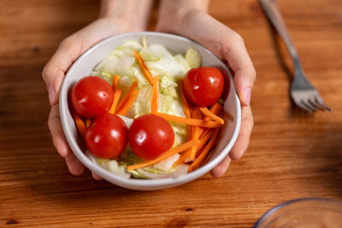 Fresh vegetable salad bowl tomatoes carrots lettuce healthy food hands holding nutrition diet lunch