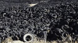 Heap of old tires between field