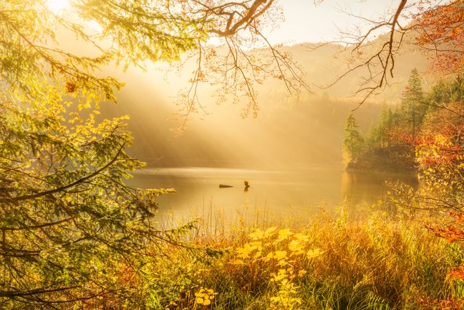 Sun rays and autumn nature