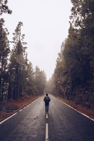 Traveler walking on empty road in woods
