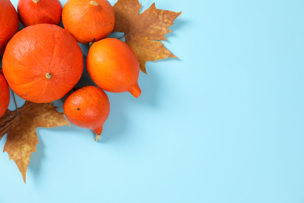 Composition with pumpkins and leaves on blue background, copy space