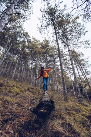 Female tourist balancing and walking along fallen tree in forest