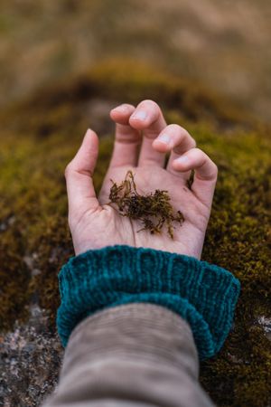 Woman hand on moss