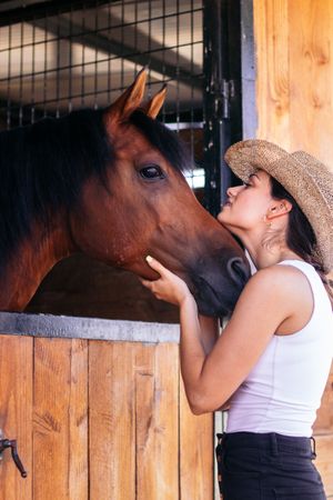 Woman taking care of his brown horse in the stable