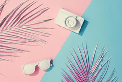 Tropical painted leaves, sunglasses and camera on pink and blue background