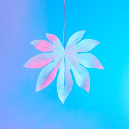 Tropical leaf in vibrant bold gradient holographic neon  colors